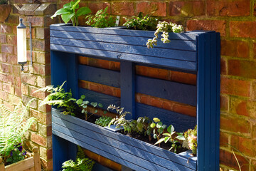 Recycled wooden pallet has been turned into a planter for the garden in an eco friendly upcycling project