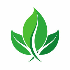 Green leaf logo vector icon illustration on a white background 
