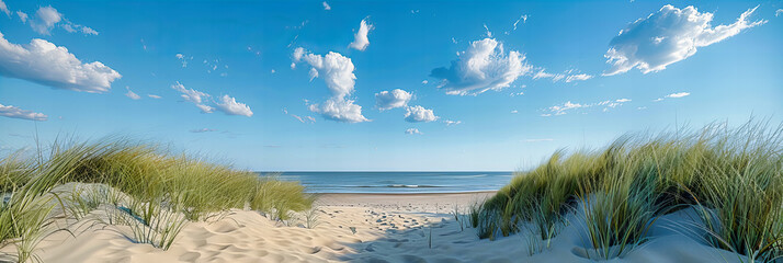 Serene Beach with Sandy Dunes and Sparse Grass, Quiet Coastal Scene in Northern Europe