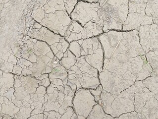cracked, dry soil