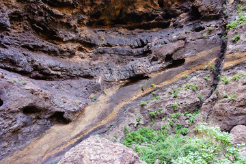 Masca Gorge is a narrow valley in the north-west of the island of Tenerife.