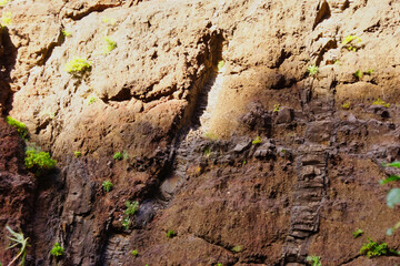 Masca Gorge is a narrow valley in the north-west of the island of Tenerife.