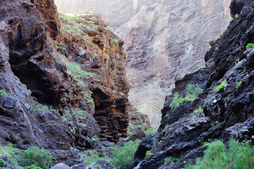 Obraz premium Masca Gorge is a narrow valley in the north-west of the island of Tenerife.