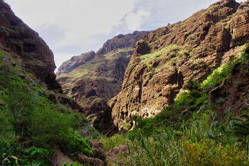 Masca Gorge is a narrow valley in the north-west of the island of Tenerife.