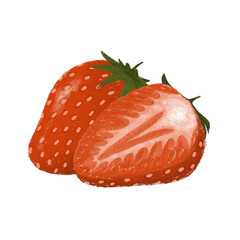 Strawberry Hand Drawn Illustration Image