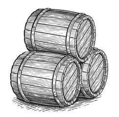 Three old wooden casks, hand drawn in sketch style. Oak barrels illustration