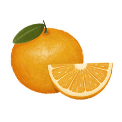 Orange Hand Drawn Illustration Image