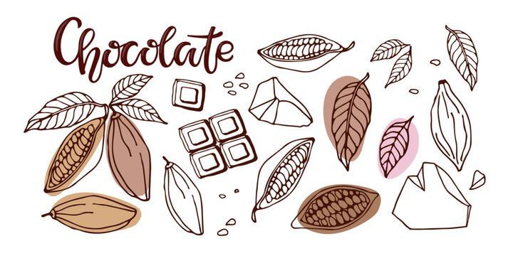 Chocolate. Hand drawn sketch vector Cocoa beans, leaves, raw chocolate chunks, wedges of dessert chocolate, Chocolate text. Organic product Doodle sketch for cafe, shop, menu, logo, emblem, symbol