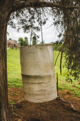 Naklejka premium barrel hanging from a tree