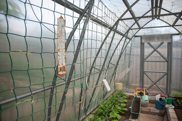rusty thermometer hanging in greenhouse to maintain the required temperature for growing...