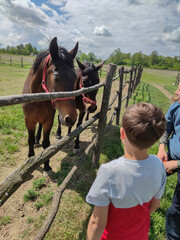 Children and horses on the ranch.