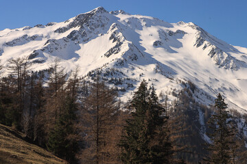 Frühling in den Alpen; Blick vom Col de la Forclaz nach Süden auf Aiguille de Genepi und Pointe de Grands