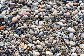 Pebbles and round stones on the beach, typical of the Baltic Sea