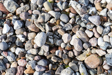 Pebbles and round stones on the beach, typical of the Baltic Sea