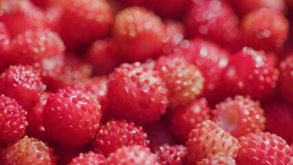 Useful wild berries. Forest tasty berry harvest. Summer strawberry harvest. Close up.