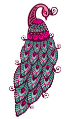Illustration of a bird, peacock, illustration modern, simple, ferns, T-shirt design