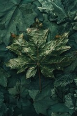 Maple leaf close up. Macro photography. Canada Day