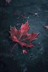 Maple leaf close up. Macro photography. Canada Day