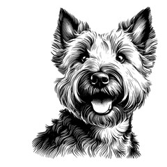 Cute Scottish Terrier dog portrait, hand drawn sketch. Vector isolated on white background	