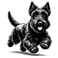 Cute Scottish Terrier dog in full-body, hand drawn sketch. Vector isolated on white background	