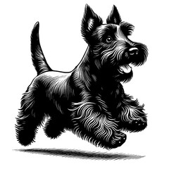 Cute Scottish Terrier dog in full-body, hand drawn sketch. Vector isolated on white background	