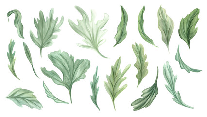 Leaves leaves of various shapes. Abstract and realistic greenery. Simple botanical green elements...