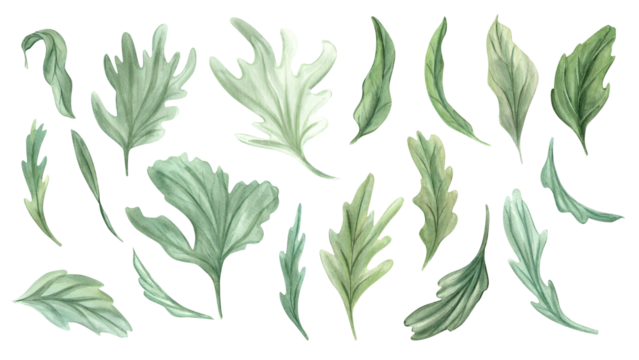 Leaves leaves of various shapes. Abstract and realistic greenery. Simple botanical green elements for your design. Watercolor illustration. Clip art for decoration, template