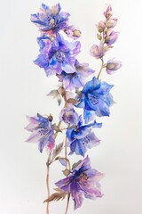 Watercolor Drawing of Larkspur Flowers: Artistic Depiction of Botanical Beauty in Bloom on a Tree