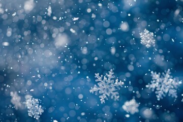 Snow flakes gently fall against a deep blue backdrop