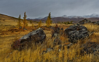 Russia. The South of Western Siberia, the Altai Mountains. The beginning of autumn on picturesque...