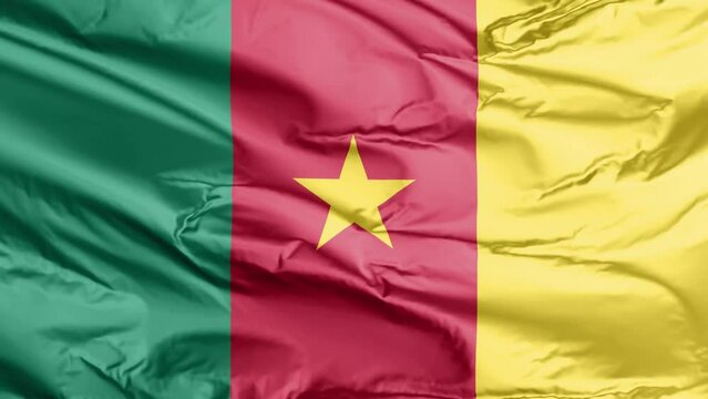 waving flag of cameroon
