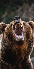 Fototapeta premium Grizzly Bear Roar - Powerful Wildlife in Nature's Domain