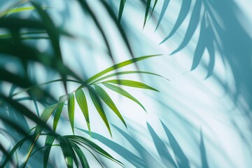Detailed view of palm tree leaves with soft shadows, against a light blue backdrop