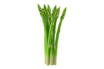 Green asparagus isolated on transparent background.