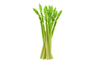 Green asparagus isolated on transparent background.