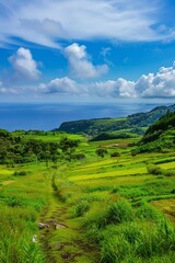 A beautiful summer day with blue sky and white clouds, overlooking the vast sea from high above. 