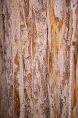 WIELICZKA, POLAND - JUNE 30: Interior view Wieliczka salt mine with textured salt walls ceiling