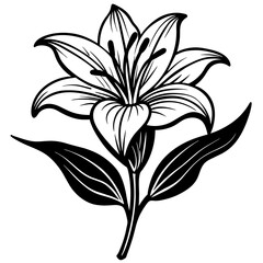 lily flower with part of tree vector, unique ,simple