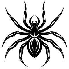 spider on white background