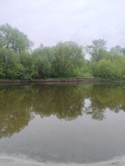 Fototapeta premium everyday life