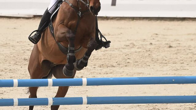 A professional equestrian rider successfully jumps over an obstacle while riding a horse in a jumping competition