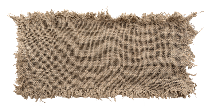 Burlap texture. A piece of torn burlap on a white background. Canvas. Packing material