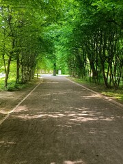alley in the park