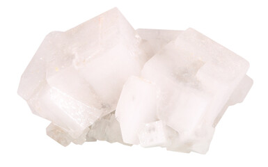 Halite rock salt mineral stone isolated on white background. Mineralogy stones gem concept.