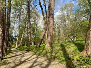 Path in the park. Spring landscape with trees and meadows at city park.