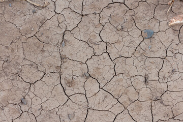 Close-up top view of dry brown cracked cly land surface in a summer day. Abstract weather background. Soft focus. Copy space. Drought and climate change theme.