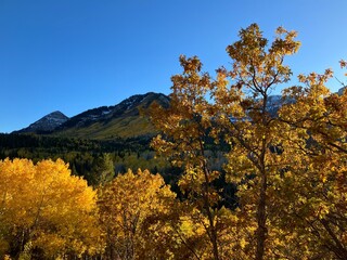 Fototapeta premium autumn in the mountains