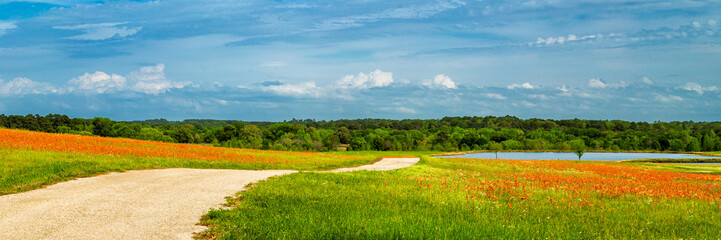 The Road To The Lake with paintbrush flowers and a cloudy blue sky