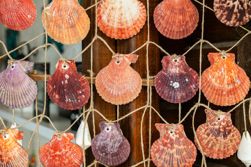 Seashells strung on a string on a street vendor's stall.