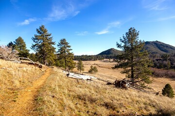 Historic Stonewall Mine Minshall Hiking Trail Rancho Cuyamaca California USA State Park.  Green...